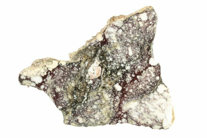 Polished Wild Horse Magnesite Slice - Arizona #264047